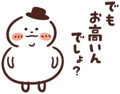 けどお高いんでしょう？